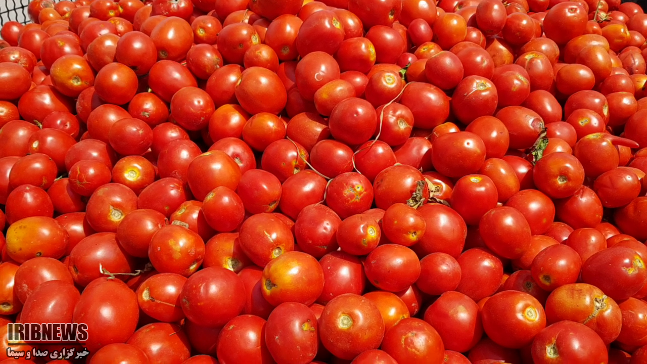 &nbsp;دور تکرار تلخ سرخی ها