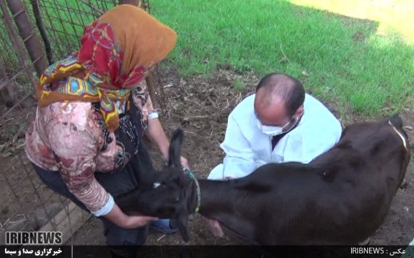 یک کوه جوانمردی، پشت خاکریزهای سازندگی