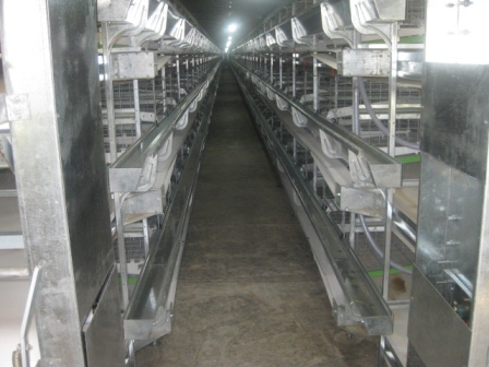 افتتاح اولین مزرعه مرغ تخم گذار در داراب