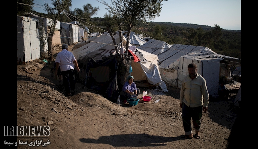 از جنایت جدید سعودی ها در یمن تا