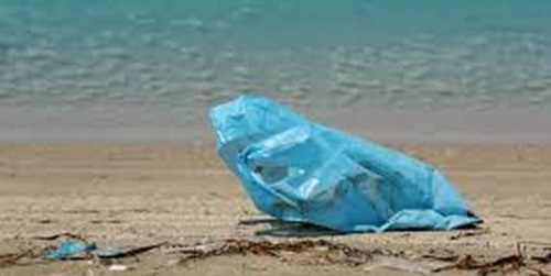 اما و اگرهای عایدی آیندگان از محیط زیست کیش