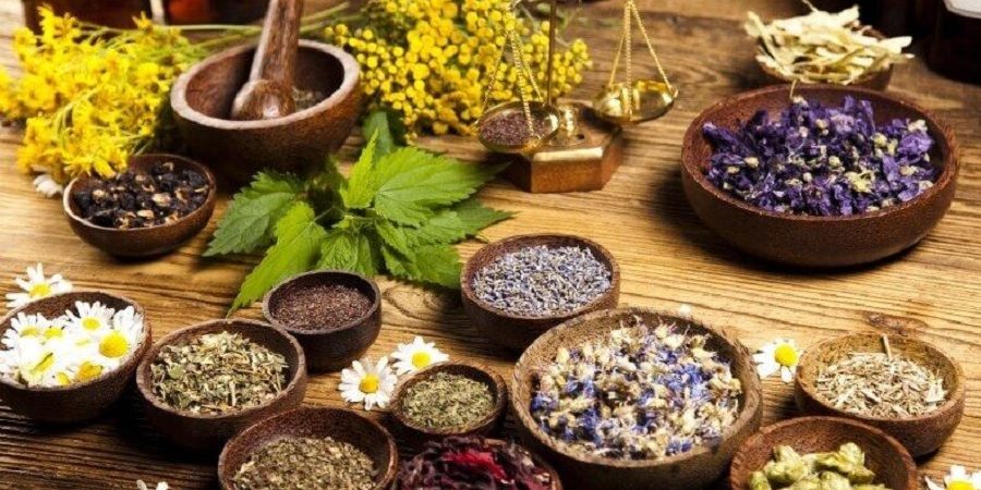 همدان قطب گیاهان دارویی کشور همدان قطب گیاهان دارویی کشور