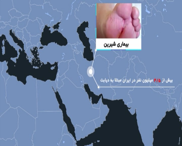 همدان قطب گیاهان دارویی کشور