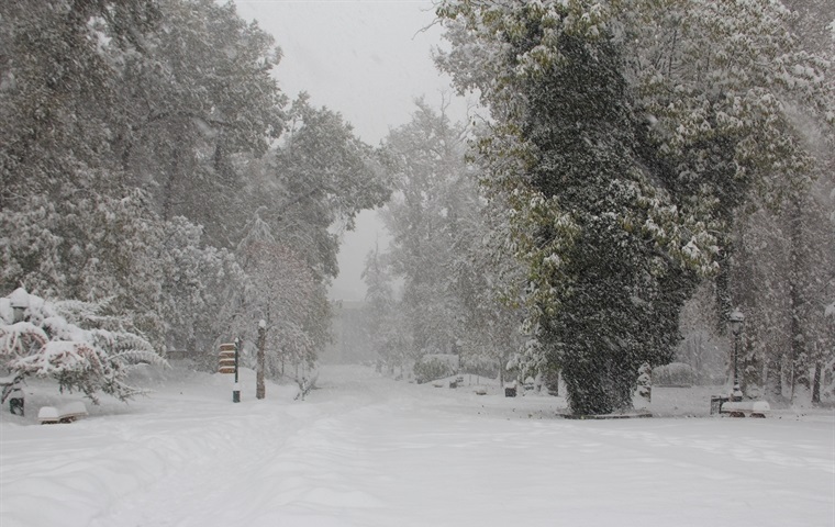 مجموعه فرهنگی تاریخی نیاوران تعطیل شد