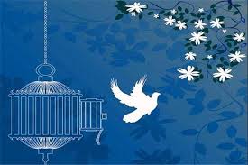 آزادی 92 محکوم مالی در قزوین