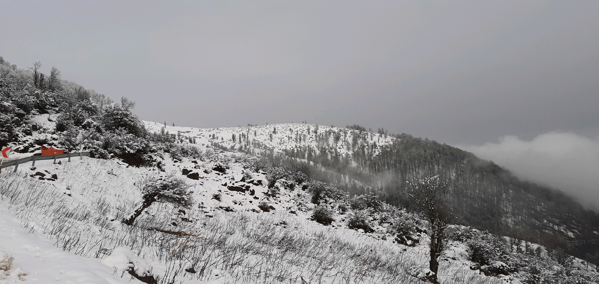 آغاز دوباره بارش برف در گیلان