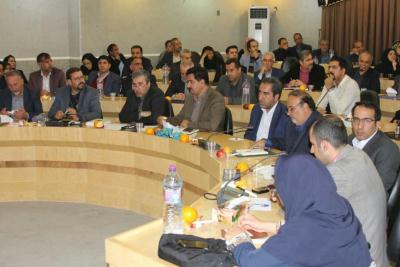 اختصاص 10 میلیارد ریال وام به هنرمندان صنایع دستی شاهین شهر و میمه