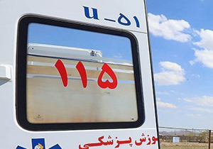 تولد دو نوزاد عجول در آمبولانس اورژانس تولد دو نوزاد عجول در آمبولانس اورژانس