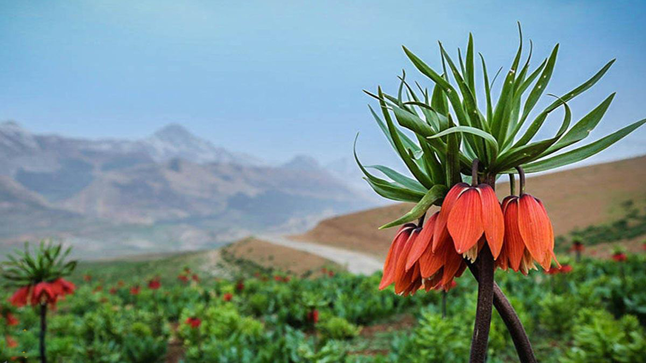 قرق دشت قرق دشت