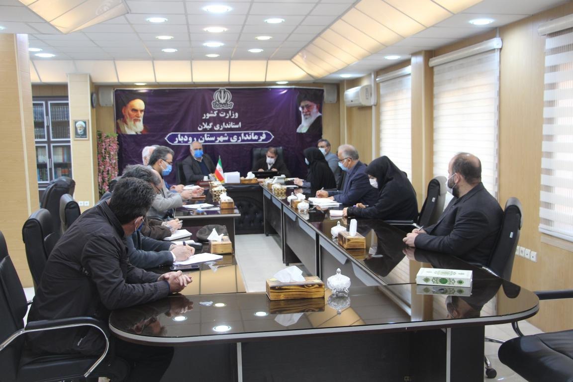 تولید بیش از 100 هزار تن زیتون در کشور تولید بیش از 100 هزار تن زیتون در کشور