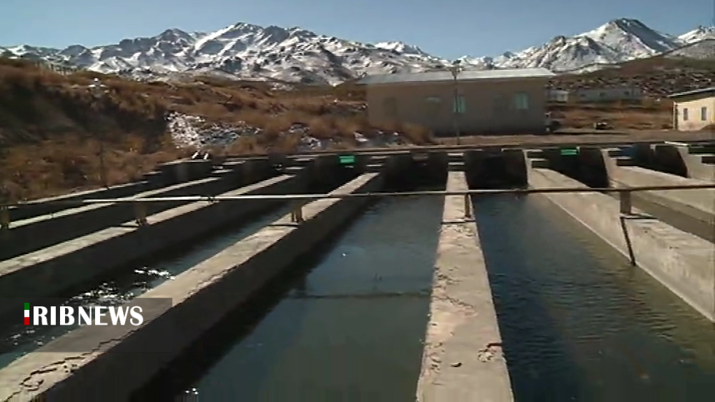 آبزی پروری ظرفیتی بزرگ و سودآوردر کرمان آبزی پروری ظرفیتی بزرگ و سودآوردر کرمان