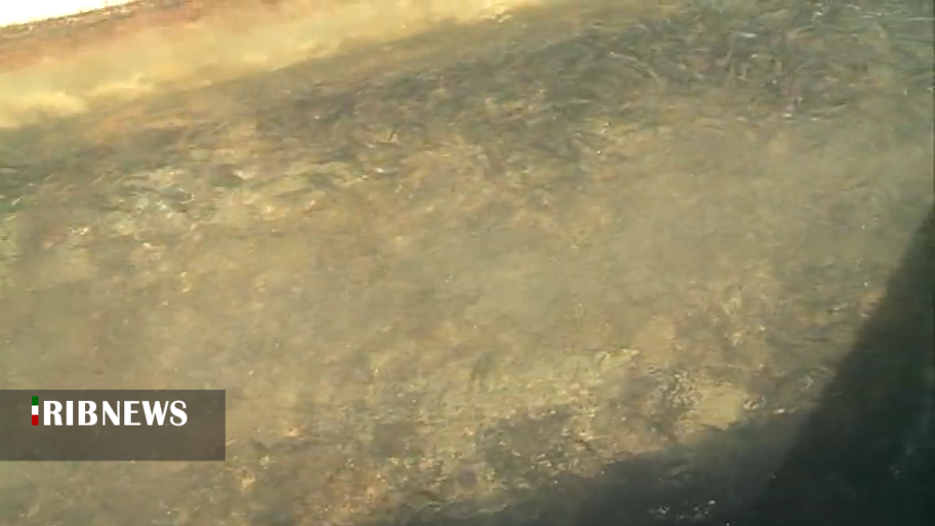 آبزی پروری ظرفیتی بزرگ و سودآوردر کرمان آبزی پروری ظرفیتی بزرگ و سودآوردر کرمان