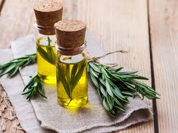 ّگیاه رزماری؛ معجزه طبیعت