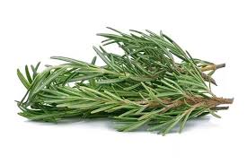 ّگیاه رزماری؛ معجزه طبیعت