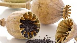 سیاه دانه و درمان هزار درد