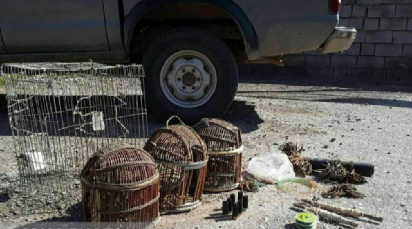 دستگیری آموزش دهنده  نحوه صید پرندگان در شبکه‌های مجازی در سرخس