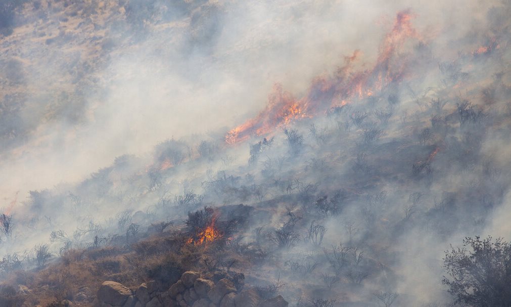 مهار آتش‌سوزی در ارتفاعات سبزپوشان شیراز