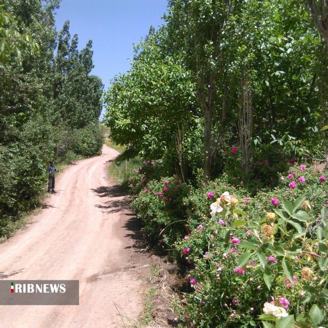 نماهای دیدنی طبیعی از ابهر نماهای دیدنی طبیعی از ابهر