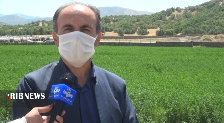 بهره برداری از 11 پروژه کشاورزی در مریوان