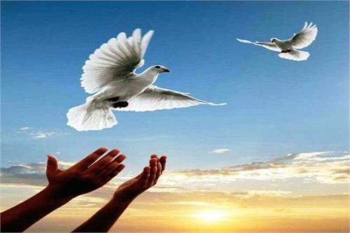 اعطای وام ۲۰ میلیون تومانی برای آزادی زندانیان نیازمند یزدی اعطای وام ۲۰ میلیون تومانی برای آزادی زندانیان نیازمند یزدی