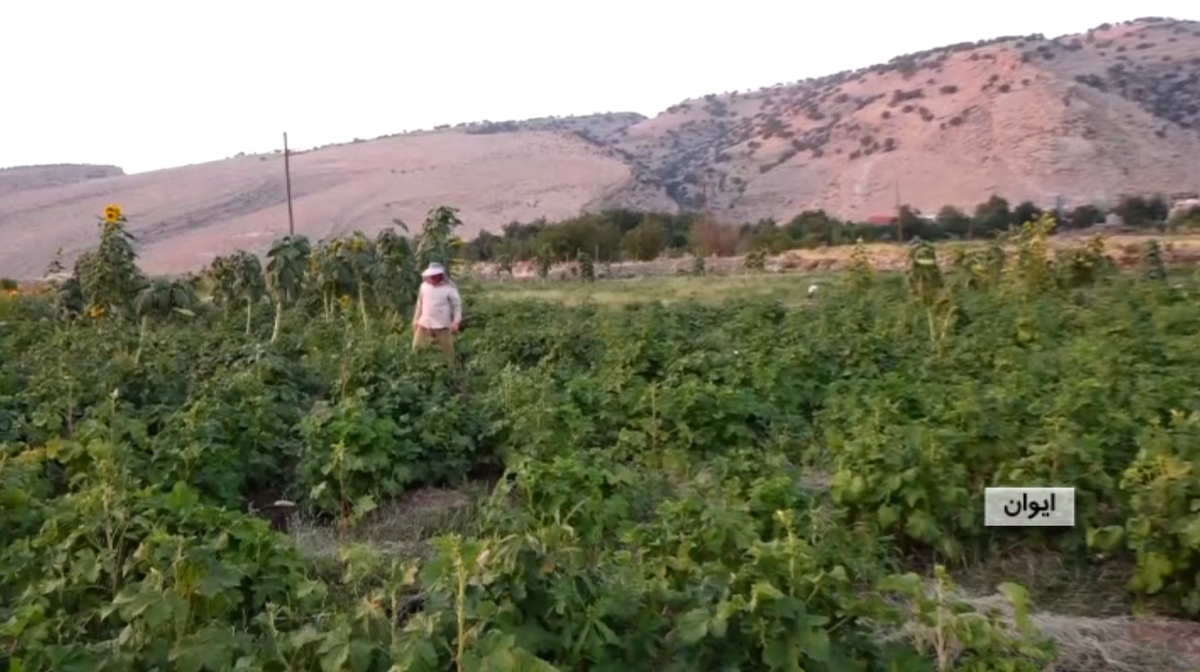 جوش و خروشی که آبادانی را به ارمغان آورده است