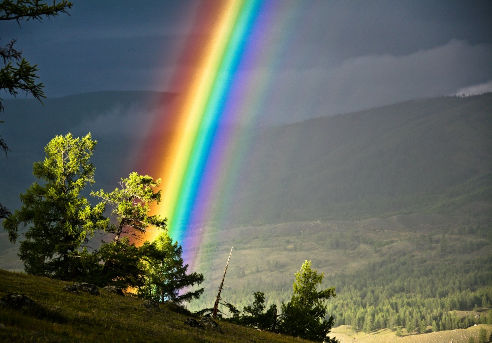 ۱۶ عکس بی&zwnj;نظیر از طبیعت