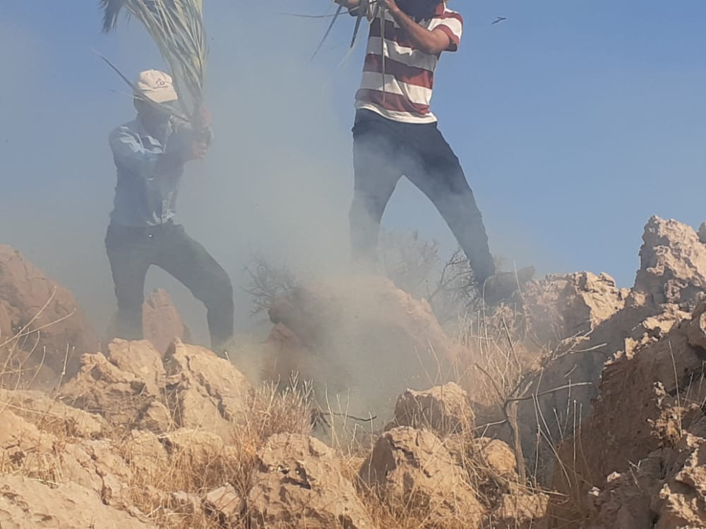 آتش در ارتفاعات خنج همچنان میتازد آتش در ارتفاعات خنج همچنان میتازد