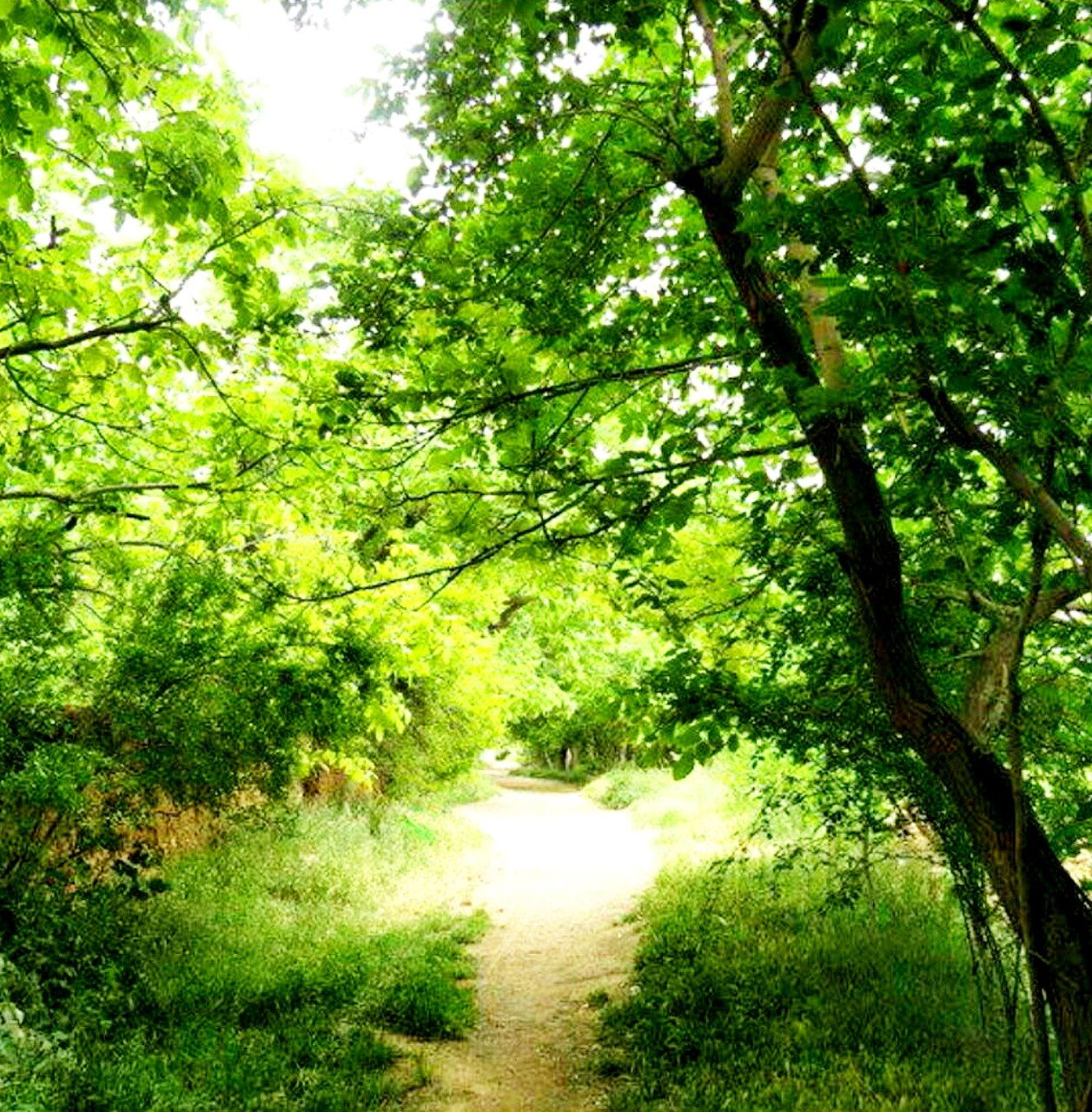 افت و خیز دما در زنجان افت و خیز دما در زنجان