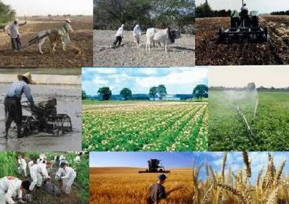۱۰۰ طرح کشاورزی در خوزستان به بهره&zwnj;برداری رسید
