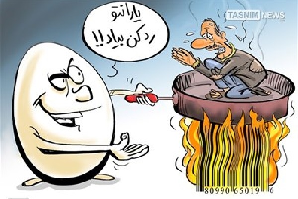 اندر احوالات تخم مرغ در فضای مجازی