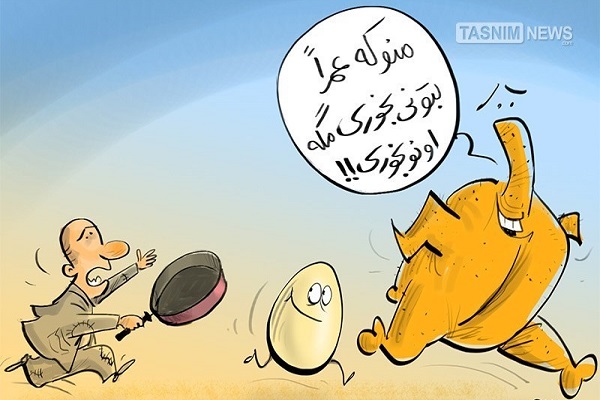 اندر احوالات تخم مرغ در فضای مجازی