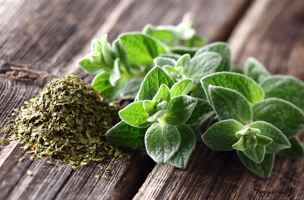 ادویه و گیاهانی که ایمنی بدن را تقویت می&zwnj;کنند