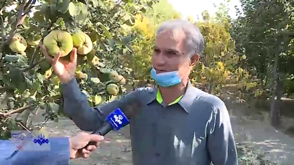 این بار در سنگر تولید و اشتغال