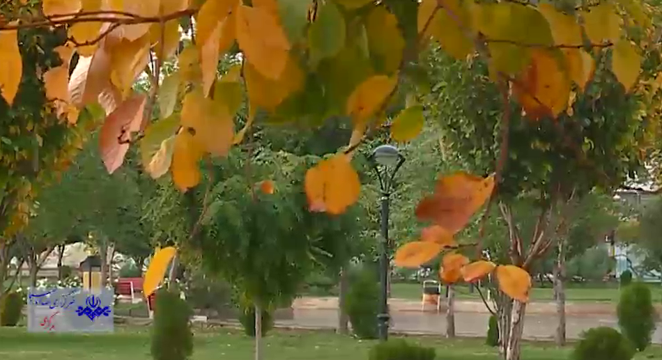 بارش دلنشین باران پاییزی