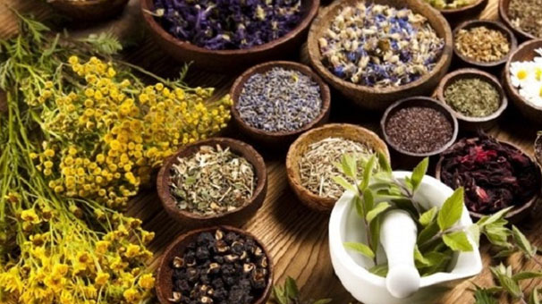 حمایت مالی از تولید کنندگان گیاهان دارویی