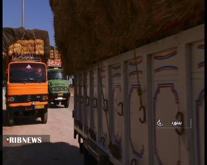 ‌می‌خواهم گوسفندانم بچرند