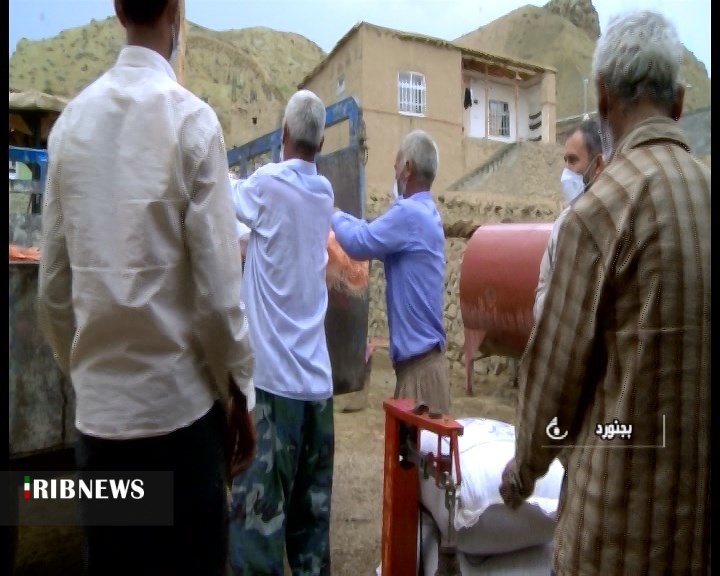 می‌خواهم گوسفندانم بچرند