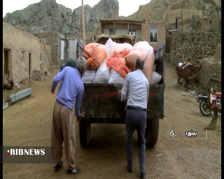 می‌خواهم گوسفندانم بچرند