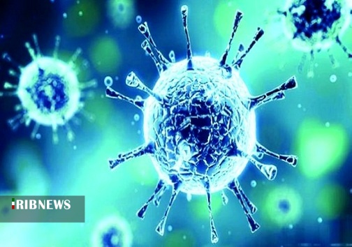 مشارکت مردم، استان را از بحران کرونا عبور می دهد مشارکت مردم، استان را از بحران کرونا عبور می دهد