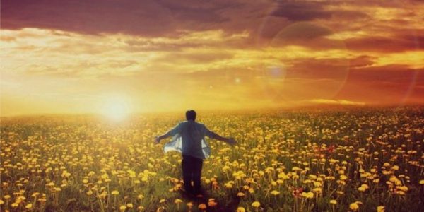 رابطه خودشکوفایی با موفقیت رابطه خودشکوفایی با موفقیت