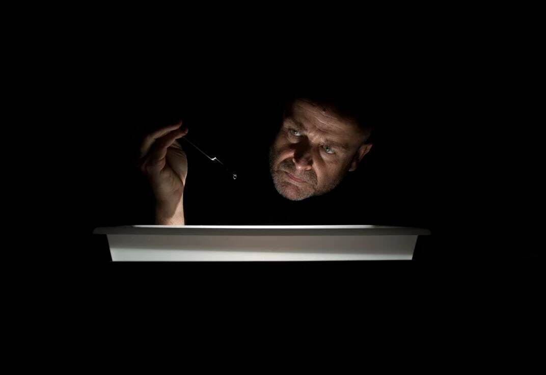 زندگی درون یک قطره آب دریا