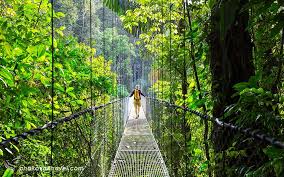 تاثیر سفر بر سلامت روان تاثیر سفر بر سلامت روان