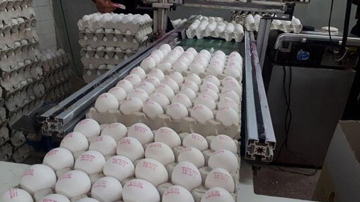 نظر تولیدکنندگان درباره پرداخت مستقیم یارانه به مردم نظر تولیدکنندگان درباره پرداخت مستقیم یارانه به مردم