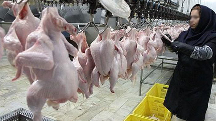 نظر تولیدکنندگان درباره پرداخت مستقیم یارانه به مردم نظر تولیدکنندگان درباره پرداخت مستقیم یارانه به مردم