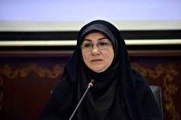 حمایت از والیبالیست‌های جوان در دستور فدراسیون