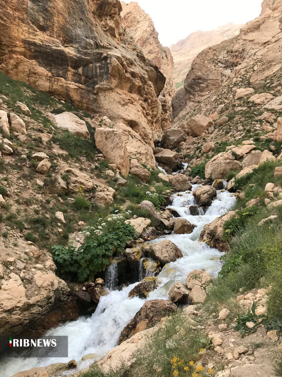 صعود به قله قاش مستان، بلندترین قله دنا صعود به قله قاش مستان، بلندترین قله دنا