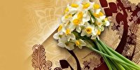 نگاهی علمی و پژوهشی در حوزه دست بافت های ایران