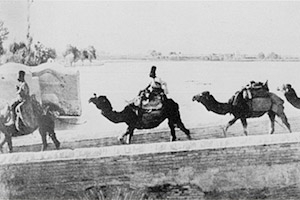 ماجرای ساختن کفش آهنی برای شتران! ماجرای ساختن کفش آهنی برای شتران!