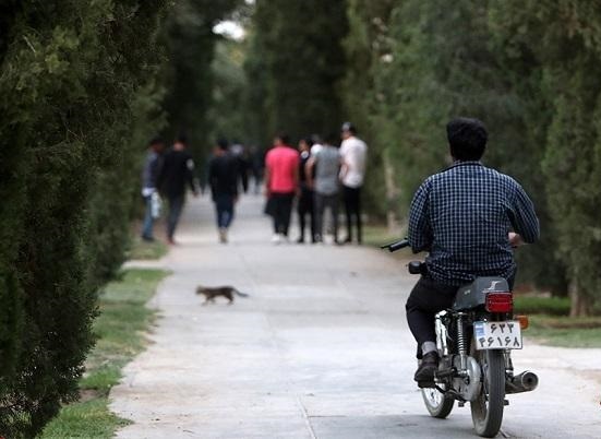 جولان موتورسواران در بوستانهای شهری جولان موتورسواران در بوستانهای شهری