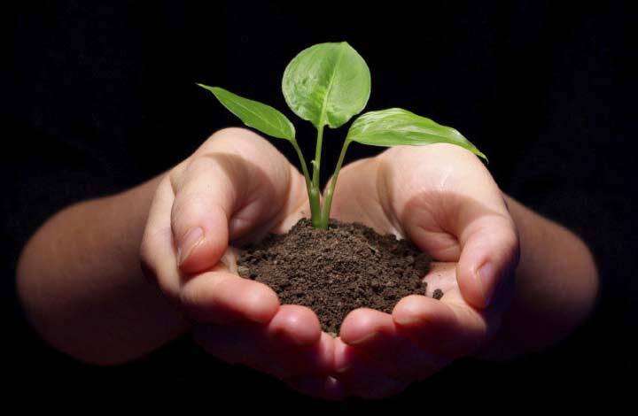 عادتهایی که شما را به یک فرد موفق تبدیل میکند عادتهایی که شما را به یک فرد موفق تبدیل میکند